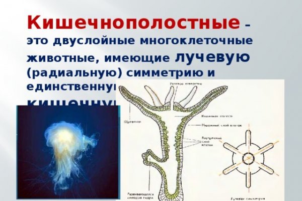 Кракен ссылку где