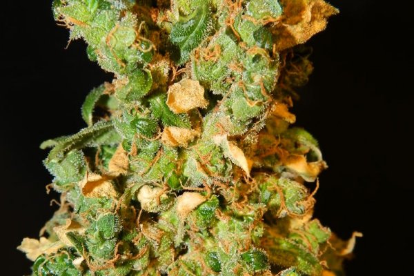 Кракен ссылка kra