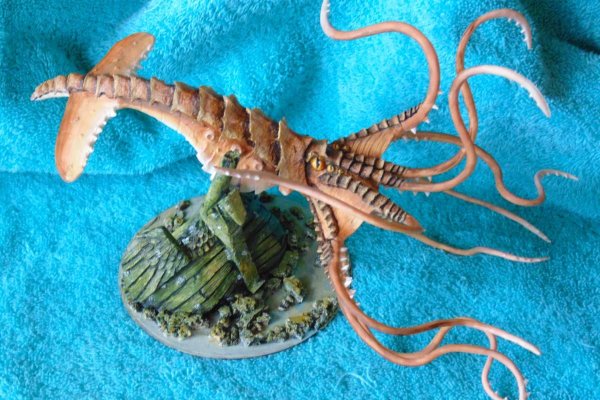 Kraken 2krn