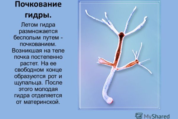 Кракен маркетплейс товары