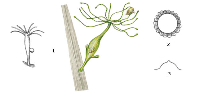 Пользователь не найден кракен что делать