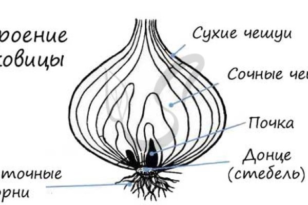 Кракен лучший маркетплейс