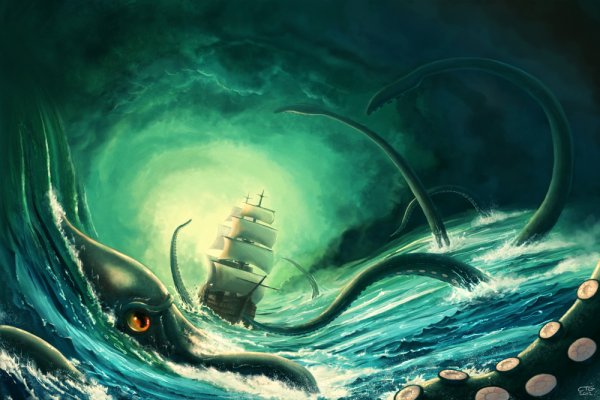 Kraken 24 top