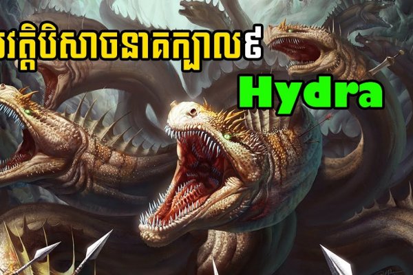 Сайт кракен 24